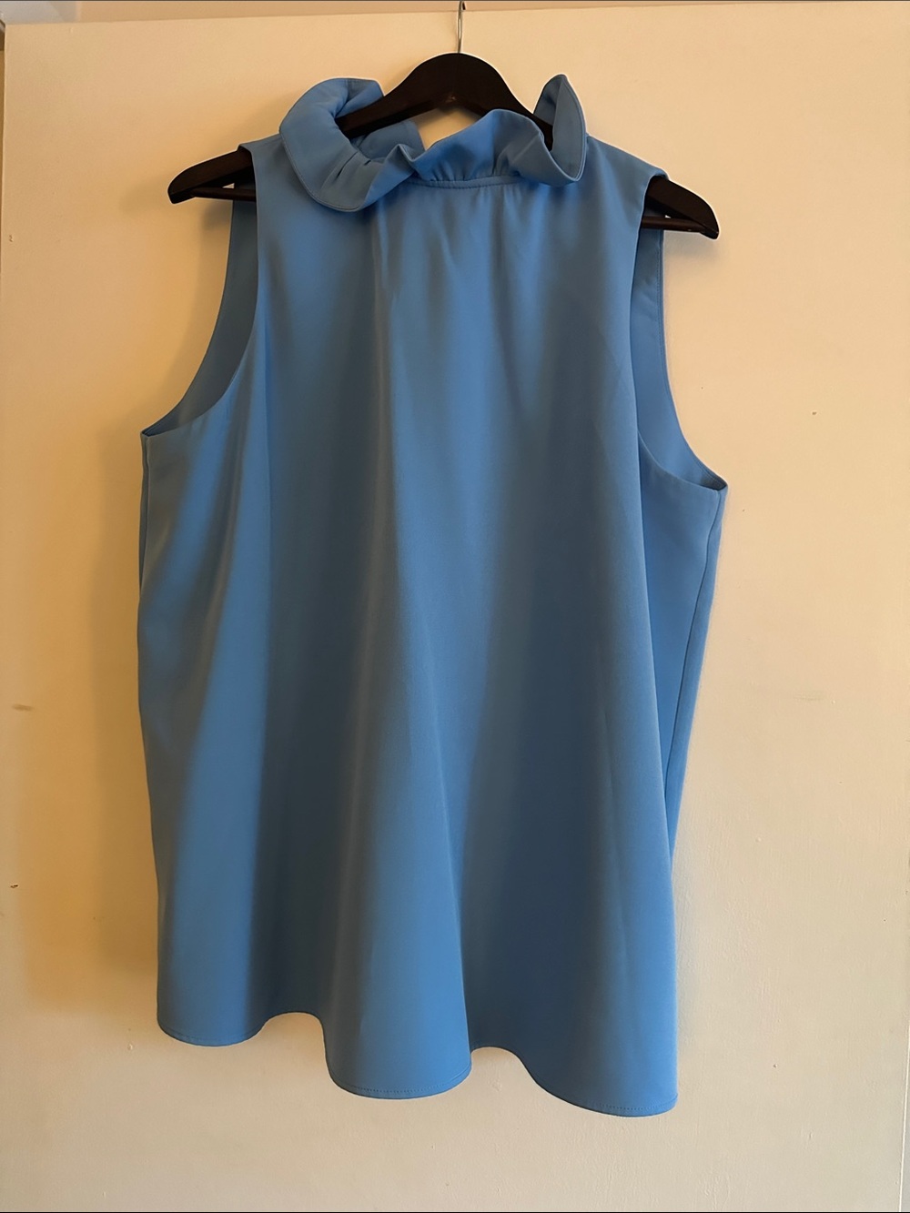 Tuckernuck Light Blue Sleeveless Ruffle-Neck Blouse